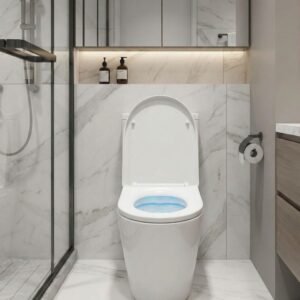 Mecanismo de Cisterna Universal